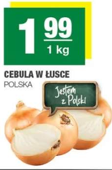 Cebula w łusce