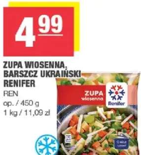 Zupa wiosenna, barszcz ukraiński Renifer Ren