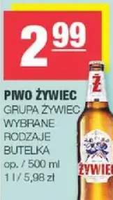 Piwo żywiec wybrane rodzaje