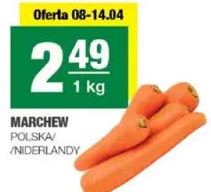 Marchew polska/niderlandy