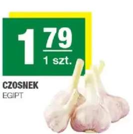 Czosnek egipt