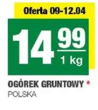 Ogórek gruntowy