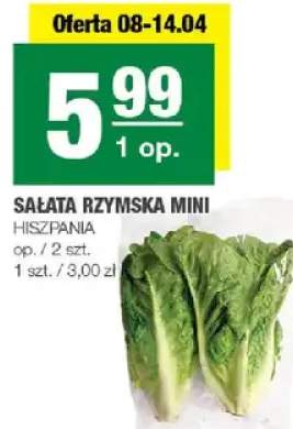 Sałata rzymska mini