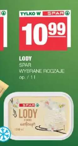 Lody wybrane rodzaje