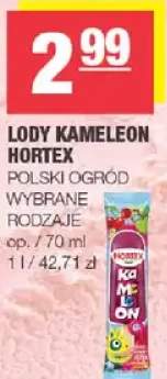 Lody kameleon Hortex Polski Ogród wybrane rodzaje