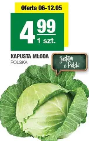Kapusta młoda polska