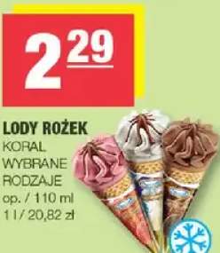 Lody rożek Koral wybrane rodzaje
