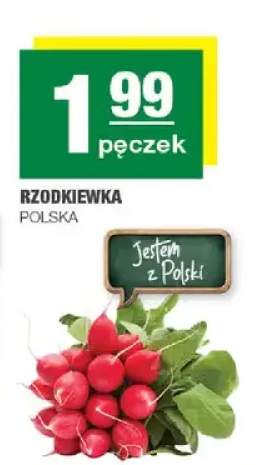 Rzodkiewka polska