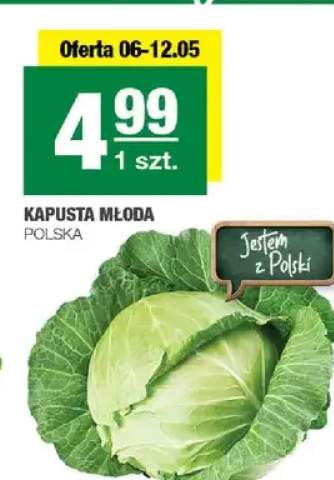 Kapusta młoda polska