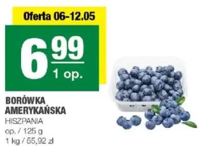 Borówka amerykańska hiszpańska