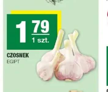 Czosnek Egipt