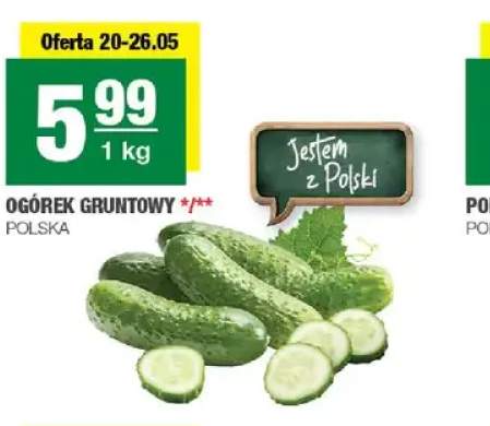 Ogórek gruntowy polski