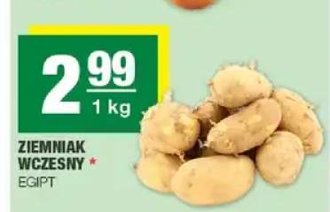 Ziemniak wczesny Egipt