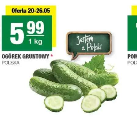 Ogórek gruntowy polski