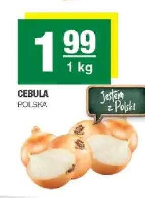Cebula Polska