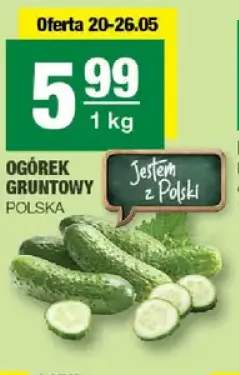 Ogórek gruntowy Polska