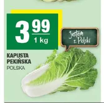 Kapusta pekińska polska