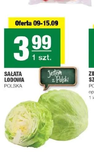 Sałata lodowa polska