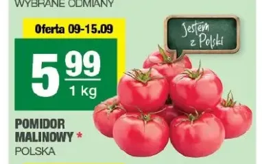 Pomidory malinowe polskie