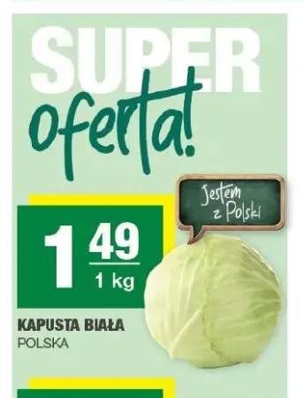 Kapusta biała polska