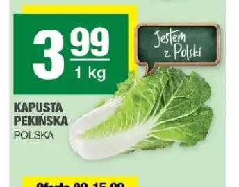 Kapusta pekińska polska