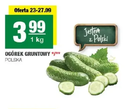Ogórki gruntowe