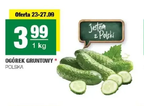 Ogórki gruntowe polskie