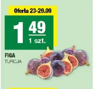 Figa