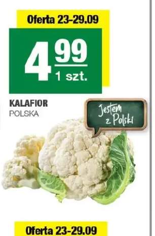 Kalafior polski
