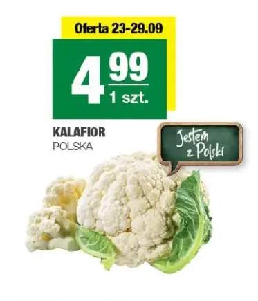 Kalafior polski