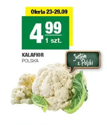 Kalafior polski