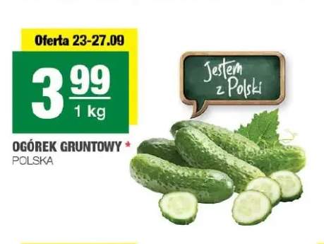 Ogórki gruntowe polskie
