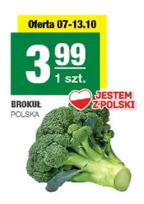 Brokuł polski
