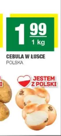 Cebula w łusce polska