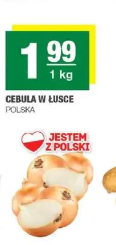 Cebula w łusce polska