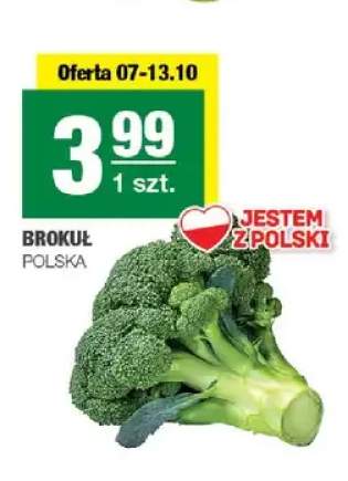 Brokuł polski