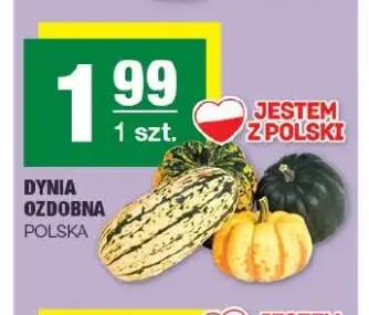 Dynia ozdobna polska