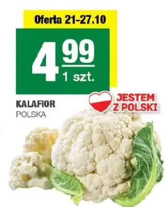 Kalafior polski
