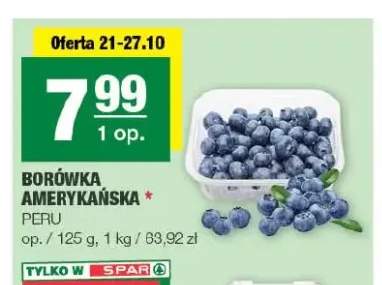 Borówka amerykańska