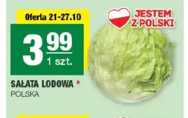 Sałata lodowa