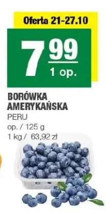 Borówka amerykańska