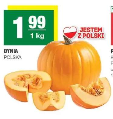 Dynia polska