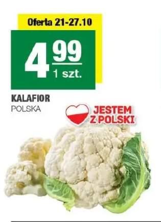 Kalafior polski