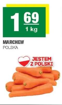 Marchew polska